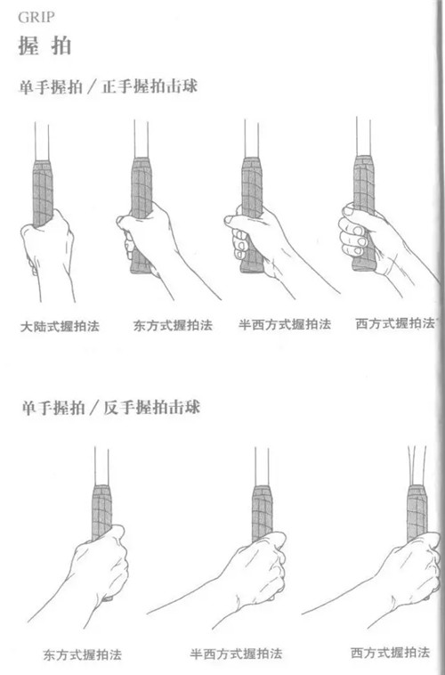 【 网球知识 】网球初学者需掌握的八大要领